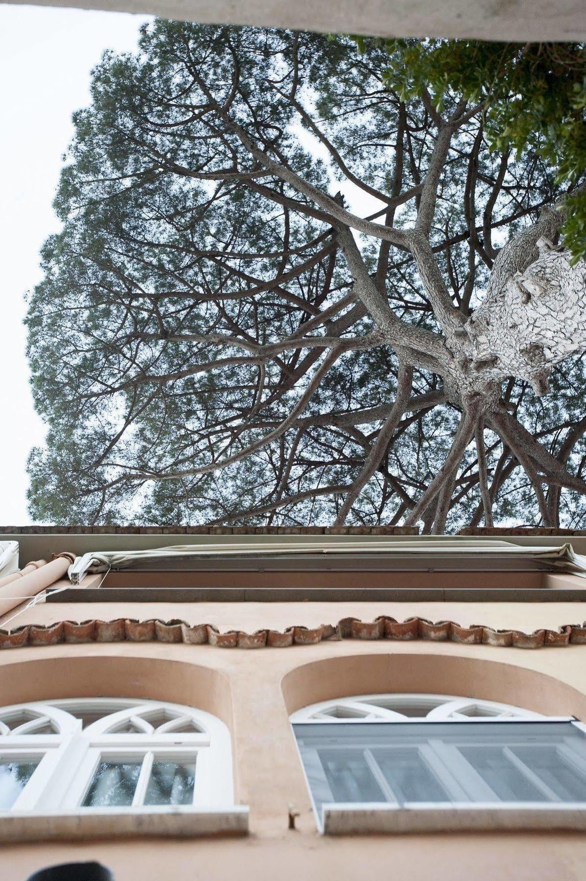 La Casa Di Carla Lägenhet Ravello Exteriör bild